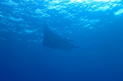 a0122752_17333940.jpg