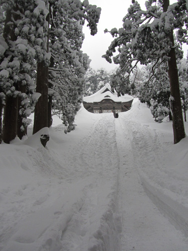 大山雪山登山 1/12_f0007956_1101817.jpg