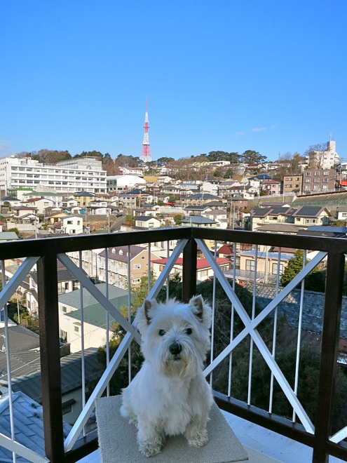 みんな、がんばれっ！！_c0260460_1015522.jpg
