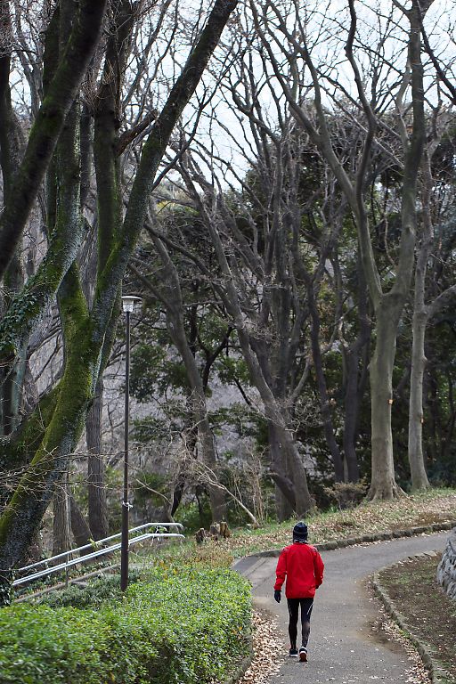 横浜　こども植物園（１月１４日）_c0057265_3461877.jpg