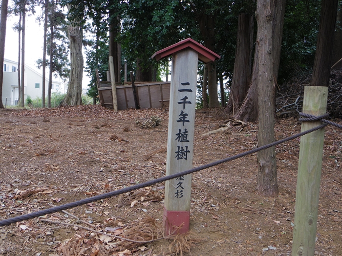 栗木台からはるひ野　１/３_d0031171_945571.jpg