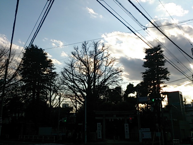 『震災から19年』_a0075684_163219.jpg