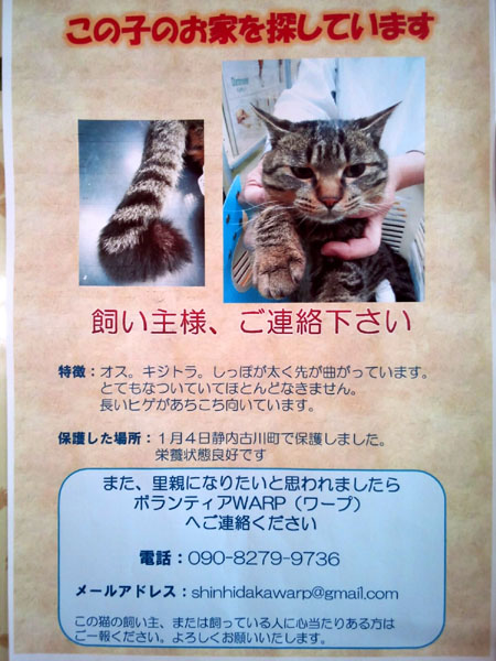 W A R P さんからいろいろなお知らせです ねこや食堂日記
