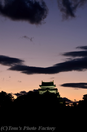 秋の名古屋城(6)名古屋城の夕景、そして夜景へと_b0155692_2237182.jpg