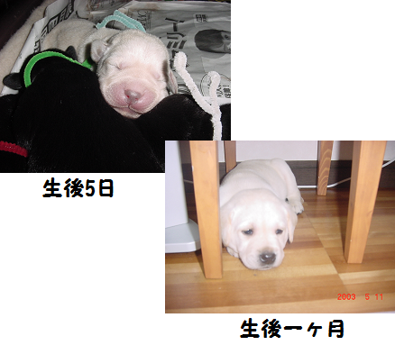 d0282395_9194826.png