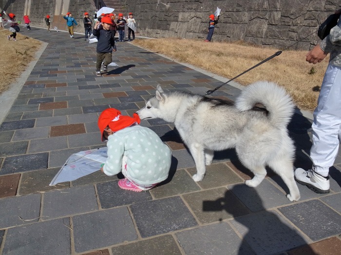 ご近所ピクニック_c0049299_2025409.jpg
