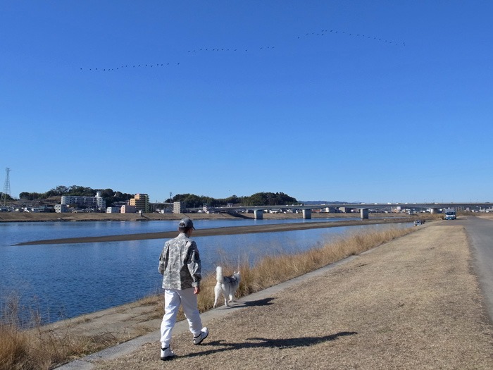 ご近所ピクニック_c0049299_20282942.jpg