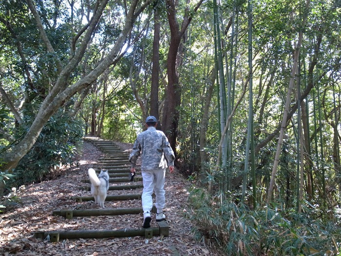 ご近所ピクニック_c0049299_20362488.jpg