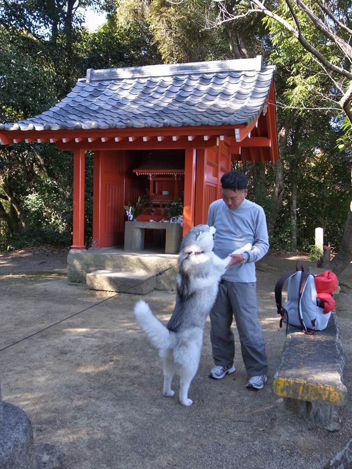 ご近所ピクニック_c0049299_20371452.jpg