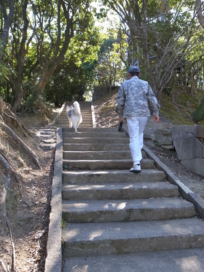 ご近所ピクニック_c0049299_2038256.jpg