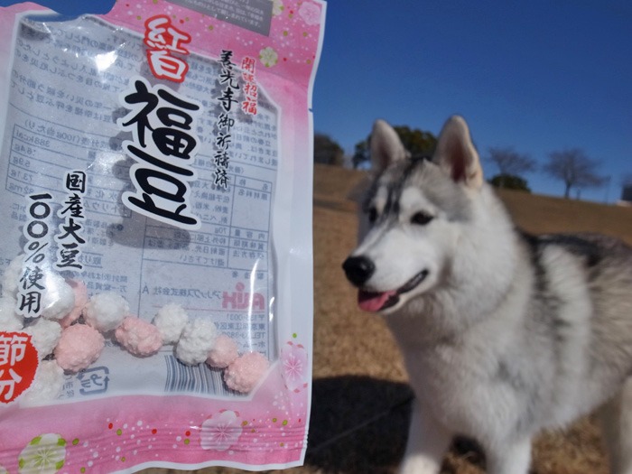 ご近所ピクニック_c0049299_203995.jpg