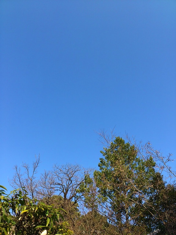 c0164401_21380001.jpg