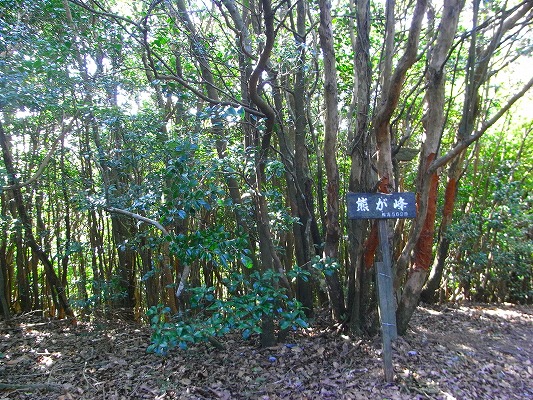 f0187402_21433615.jpg
