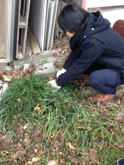 増田農園見学_c0130206_11214762.jpg