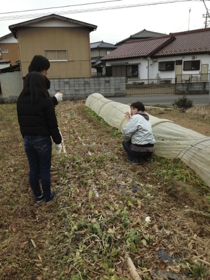 増田農園見学_c0130206_11295429.jpg