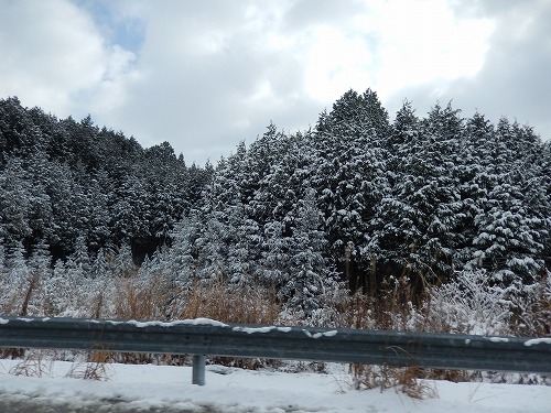 f0223914_22313157.jpg