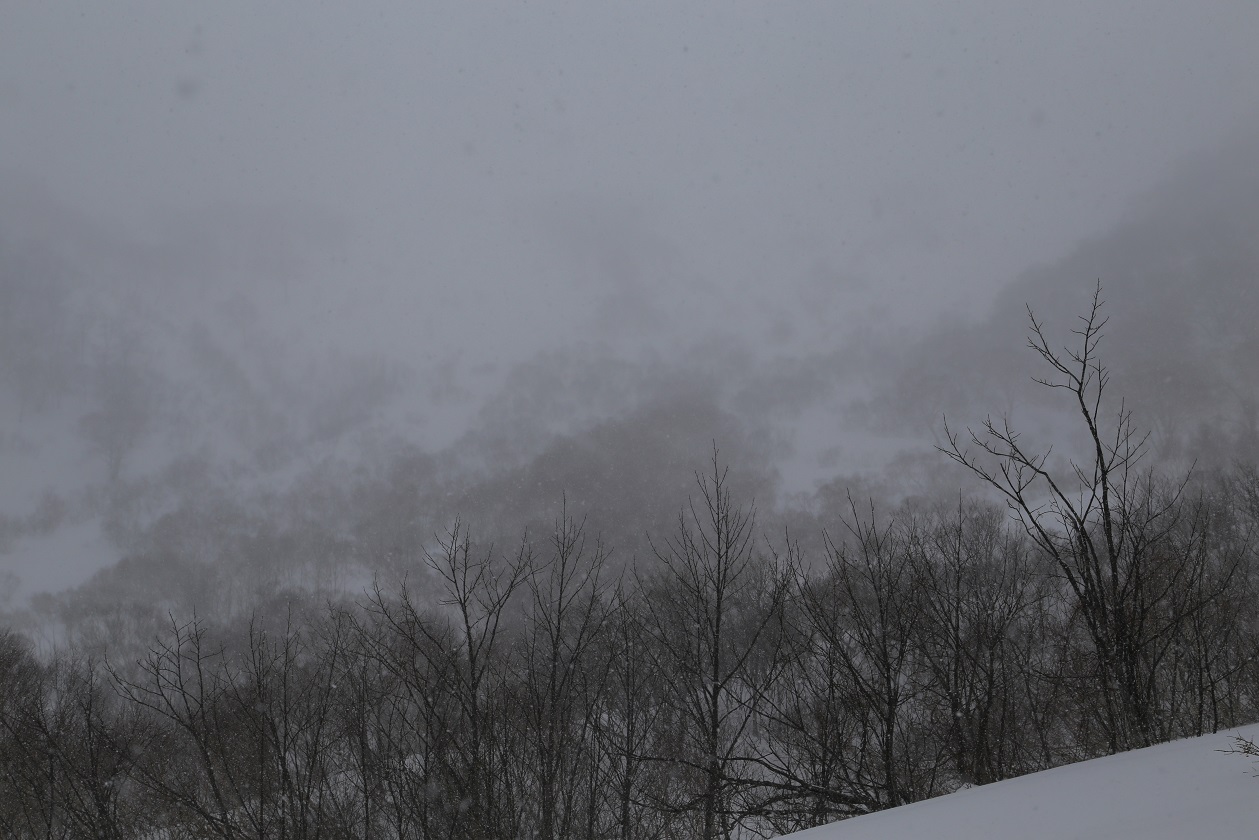 b0062024_22174350.jpg