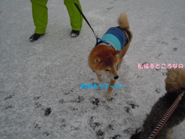 f0114128_18541630.jpg