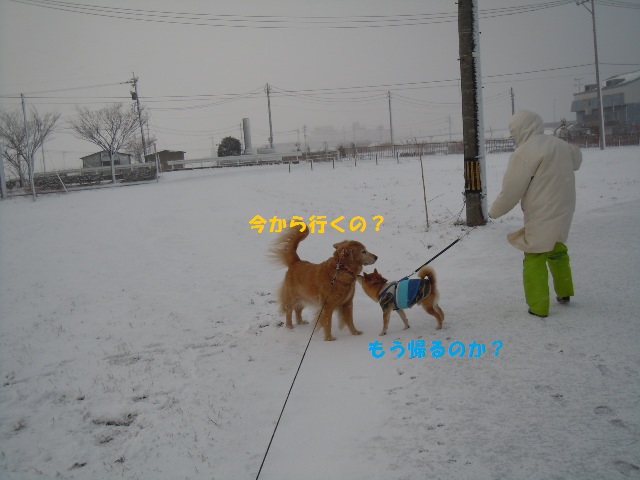 f0114128_18553296.jpg