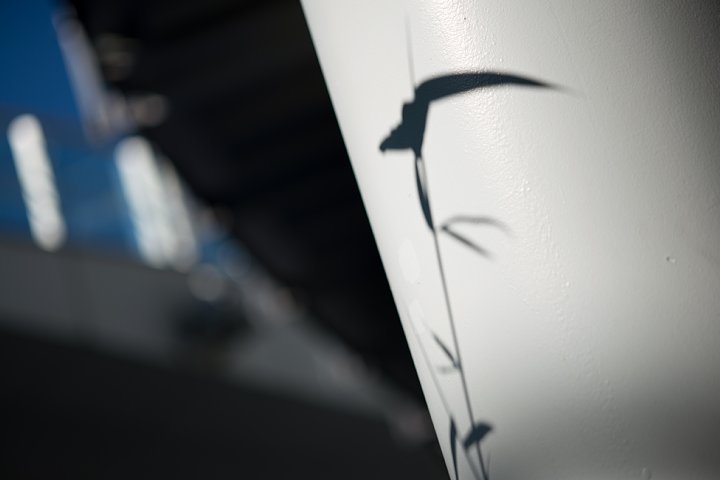 b0134829_20105897.jpg