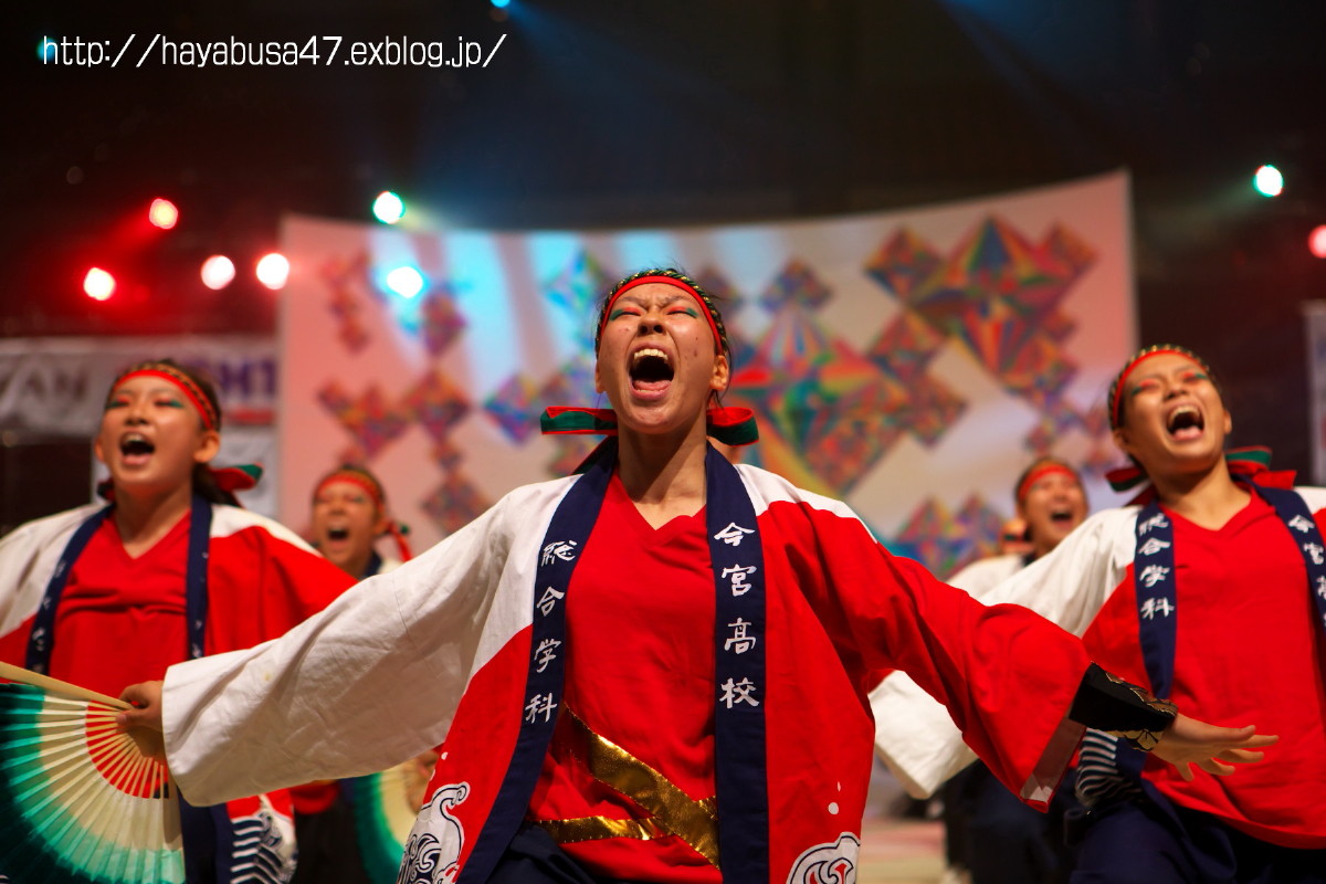 2013 大阪メチャハピー祭り本祭_a0095531_1740104.jpg