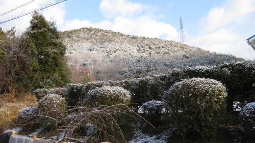 c0209334_1063746.jpg