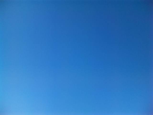 blog:チャンチャラ_a0103940_10571882.jpg