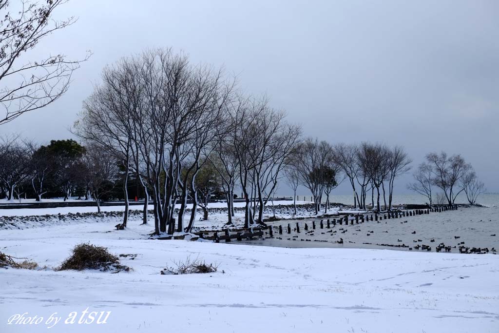 雪の長浜_d0250840_2214063.jpg