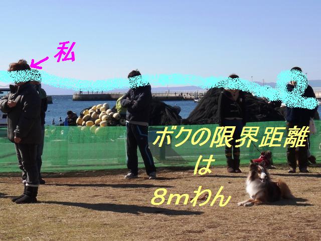 チャリティしつけ教室に行ったワン♪_e0195743_19554840.jpg