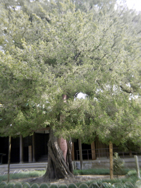 e0296043_92138.jpg