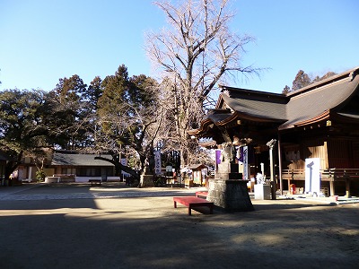 f0207146_19343960.jpg