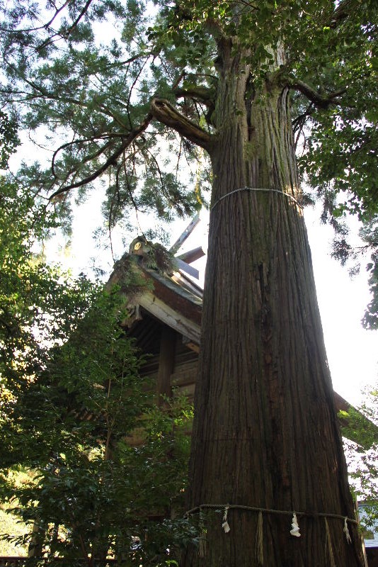 日本神話の旅　【須佐神社】_c0011649_029042.jpg