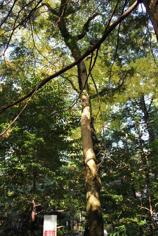 c0011649_21465747.jpg
