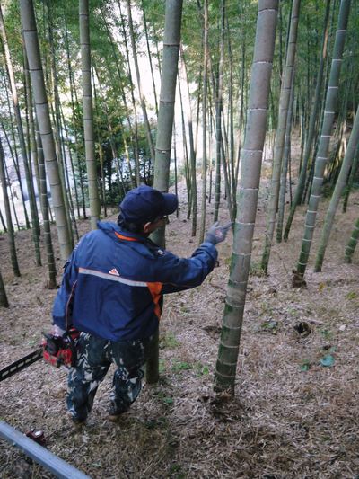 幻の白い「長生たけのこ」 たけのこ畑をプロデュース!その1_a0254656_19344986.jpg