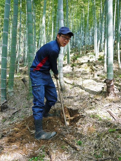幻の白い「長生たけのこ」 たけのこ畑をプロデュース!その1_a0254656_1952419.jpg