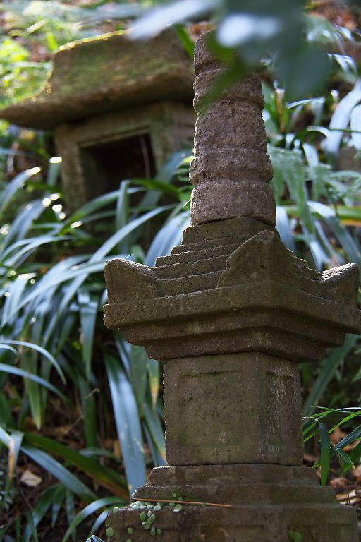 鎌倉　浄智寺（１月１７日）_c0057265_16262024.jpg