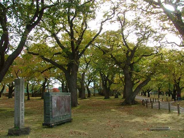 コラムリレー（第7回）　北海道森町の文化財_f0228071_10405896.jpg