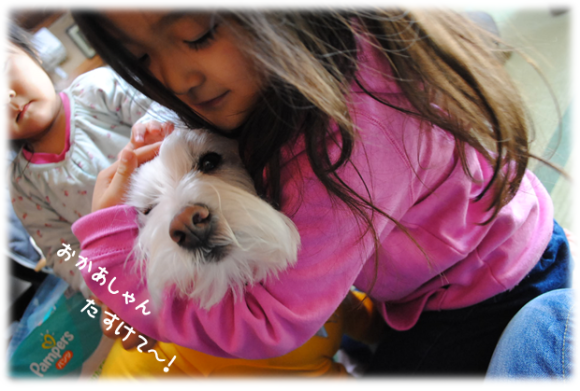 b0242873_10181317.png