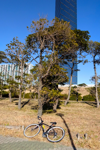 2014 自転車日和・船橋⇔千葉ポートタワー_b0247073_23163576.jpg