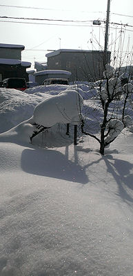b0056476_21175682.jpg