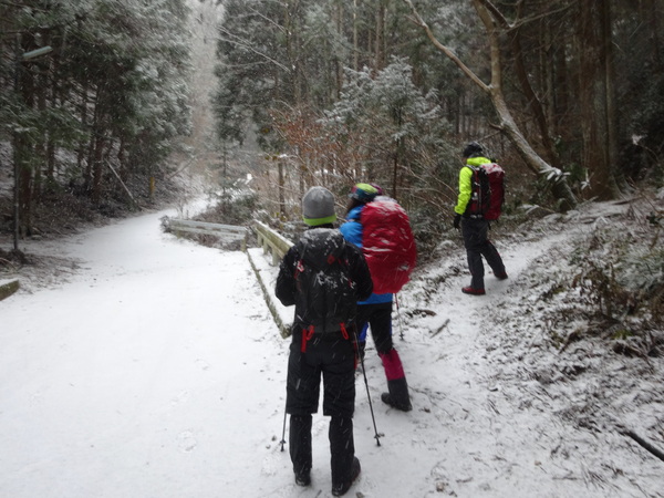 金剛山【ツツジオ谷】：人知れず静寂した登山道に密かに佇む氷瀑_c0066176_21552940.jpg