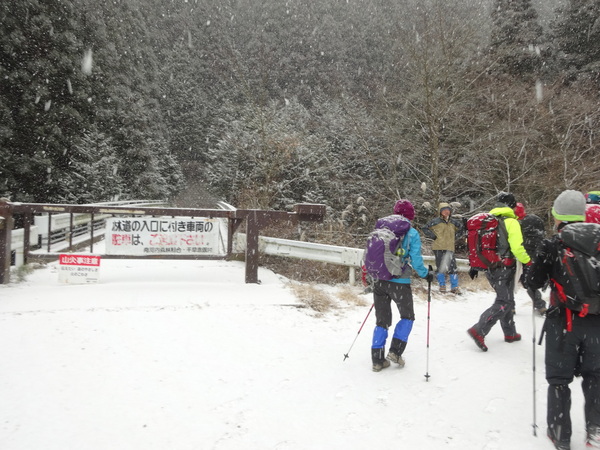 金剛山【ツツジオ谷】：人知れず静寂した登山道に密かに佇む氷瀑_c0066176_2155531.jpg