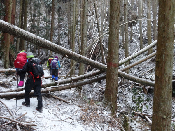 金剛山【ツツジオ谷】：人知れず静寂した登山道に密かに佇む氷瀑_c0066176_2157661.jpg