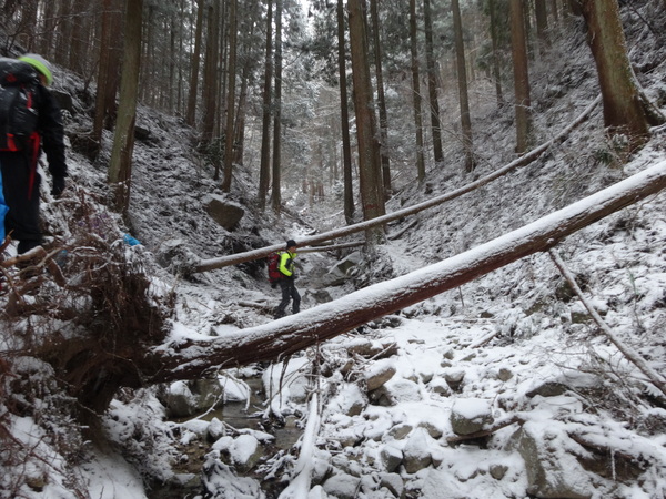 金剛山【ツツジオ谷】：人知れず静寂した登山道に密かに佇む氷瀑_c0066176_2221596.jpg