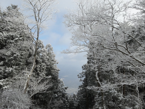 金剛山【ツツジオ谷】：人知れず静寂した登山道に密かに佇む氷瀑_c0066176_22524236.jpg