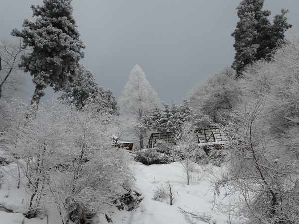 金剛山【ツツジオ谷】：人知れず静寂した登山道に密かに佇む氷瀑_c0066176_22574158.jpg