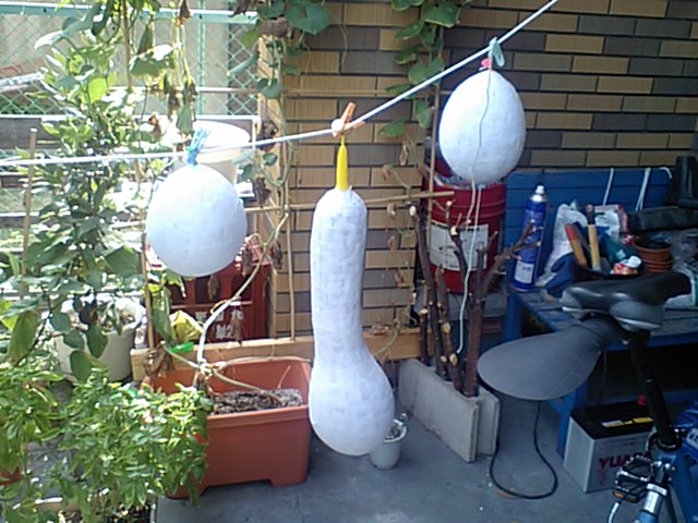 c0116978_2384928.jpg