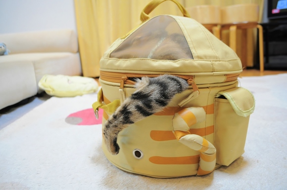 出してくれ~~!!_a0126590_14114884.jpg