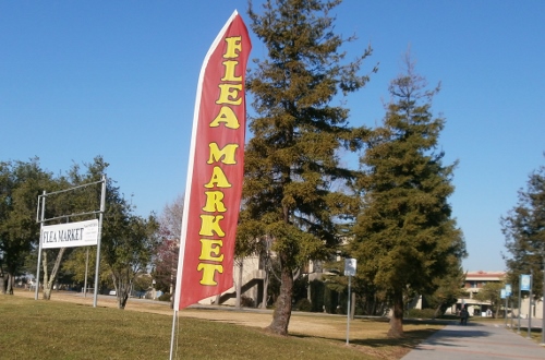 d0000995_1338964.jpg