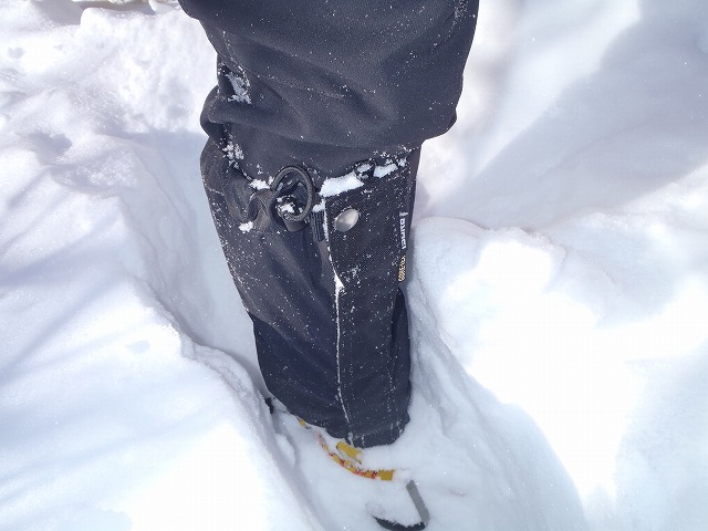 c0147398_1624408.jpg